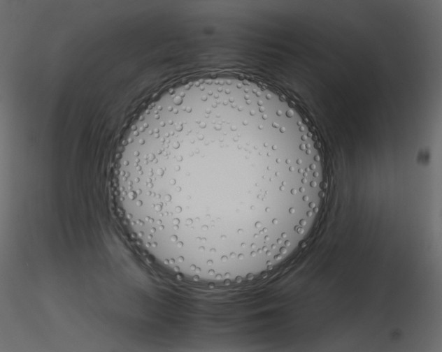 X0000115700647200912241523