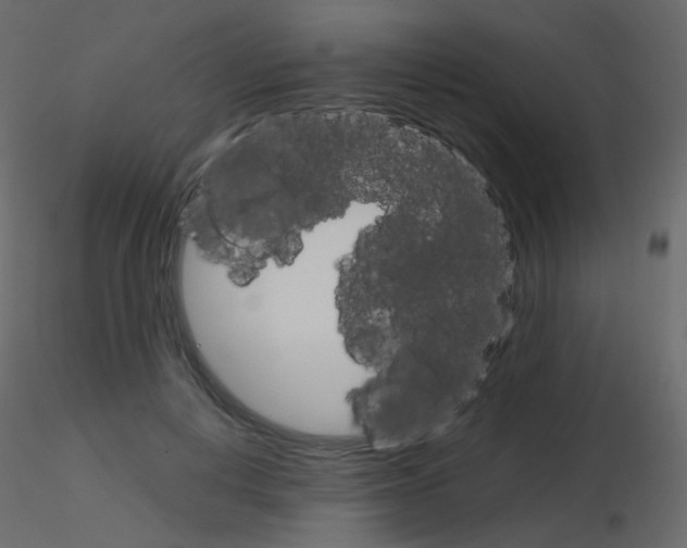 X0000115700648200912241523