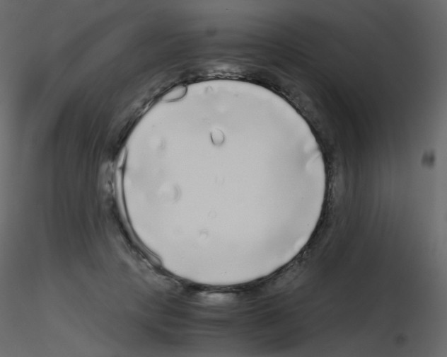 X0000115700649200912241523