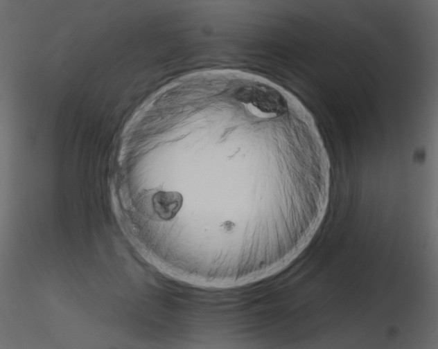 X0000115700651200912241523