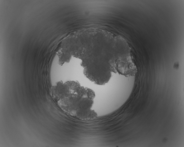 X0000115700652200912241523