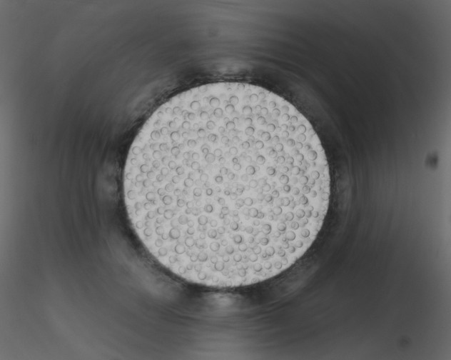 X0000115700654200912241524