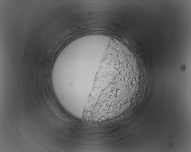 X0000115700655200912241524