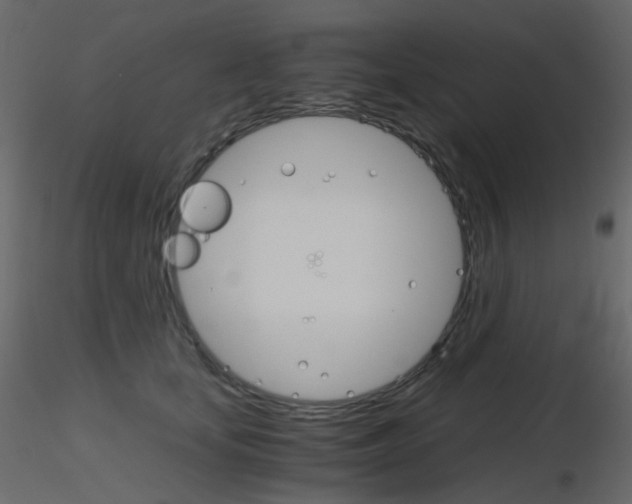 X0000115700659200912241524