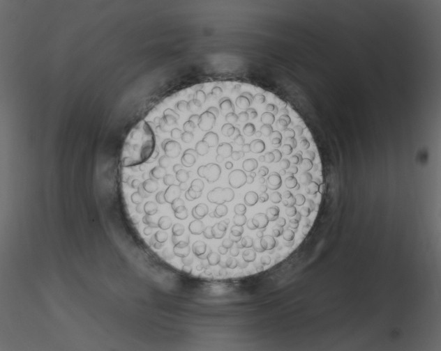 X0000115700662200912241524