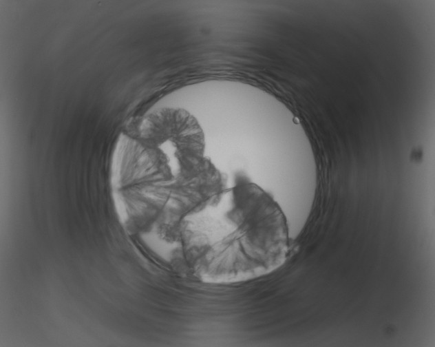 X0000115700664200912241524