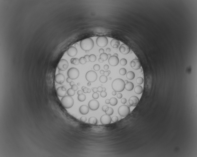 X0000115700666200912241524