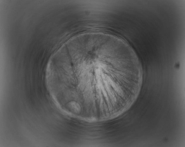 X0000115700667200912241524