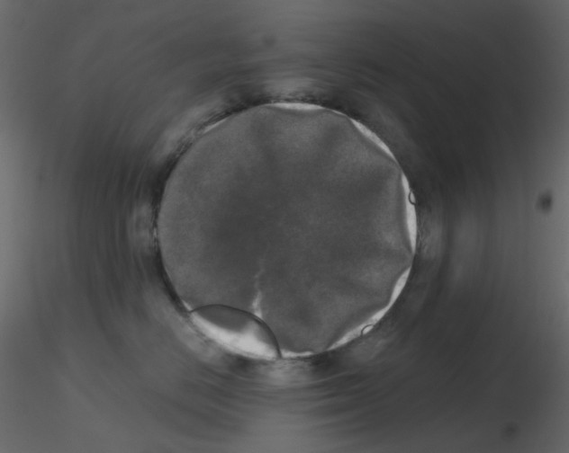 X0000115700670200912241524