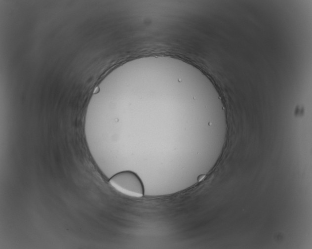 X0000115700672200912241524