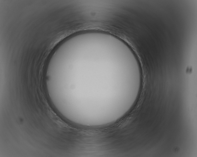 X0000115700673200912241523