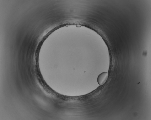 X0000115700674200912241523