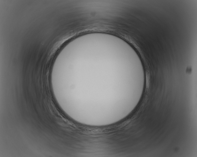 X0000115700675200912241523