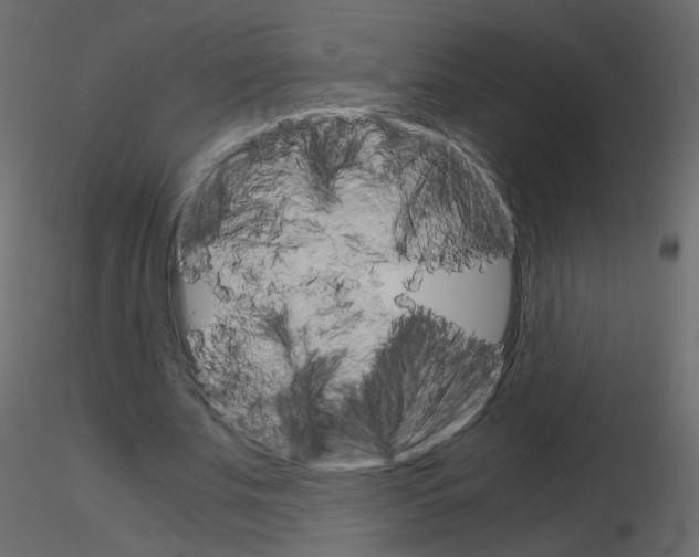 X0000115700679200912241523