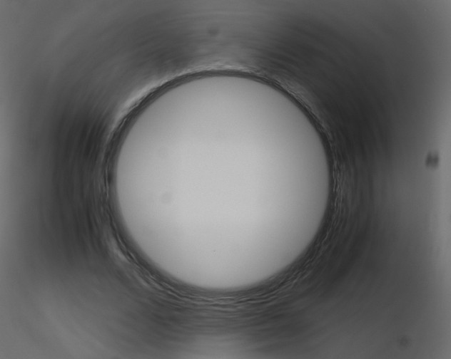 X0000115700680200912241523