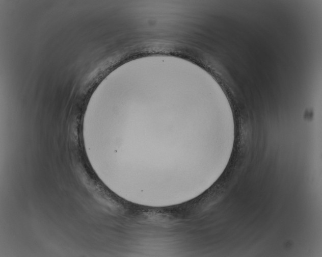 X0000115700681200912241523