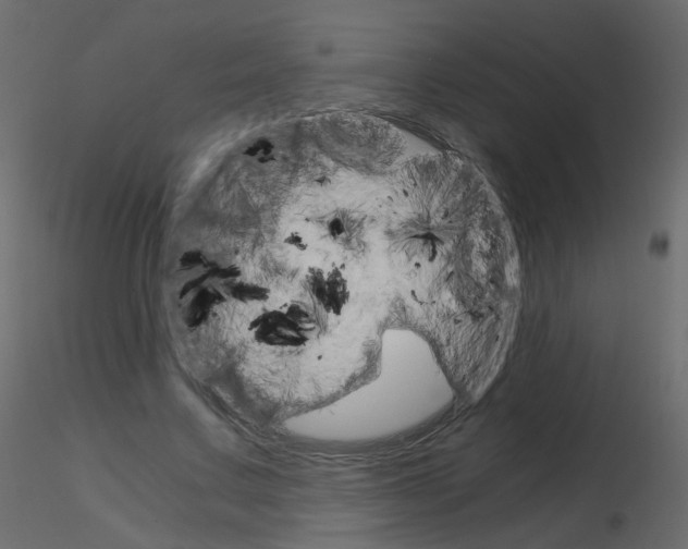 X0000115700683200912241523