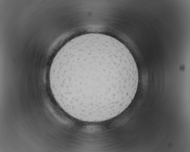 X0000115700686200912241523