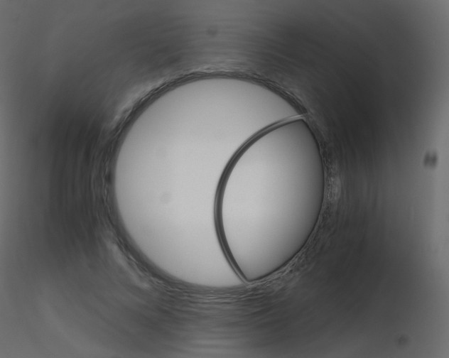 X0000115700688200912241523