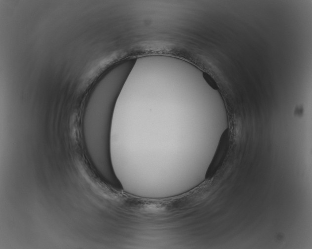 X0000115700692200912241523