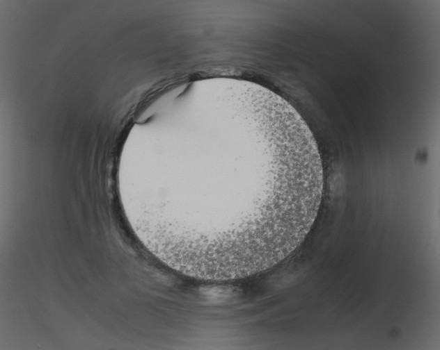 X0000115700693200912241523