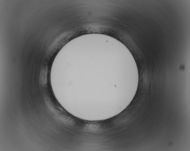 X0000115700694200912241523