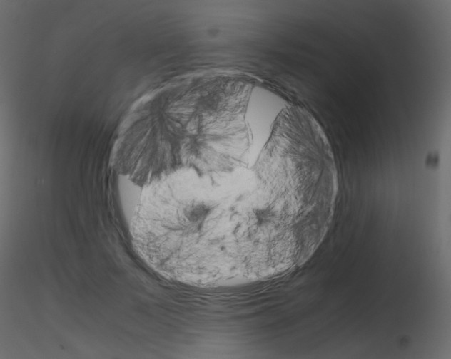 X0000115700695200912241523