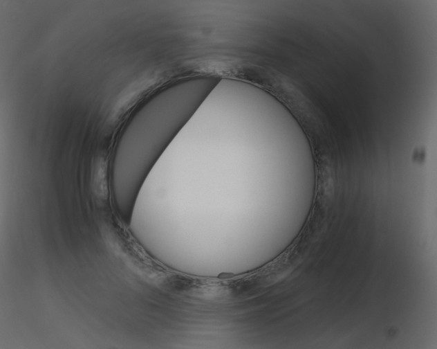 X0000115700696200912241523