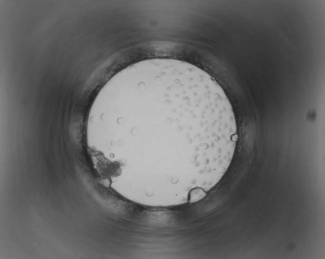 X0000115700698200912241523