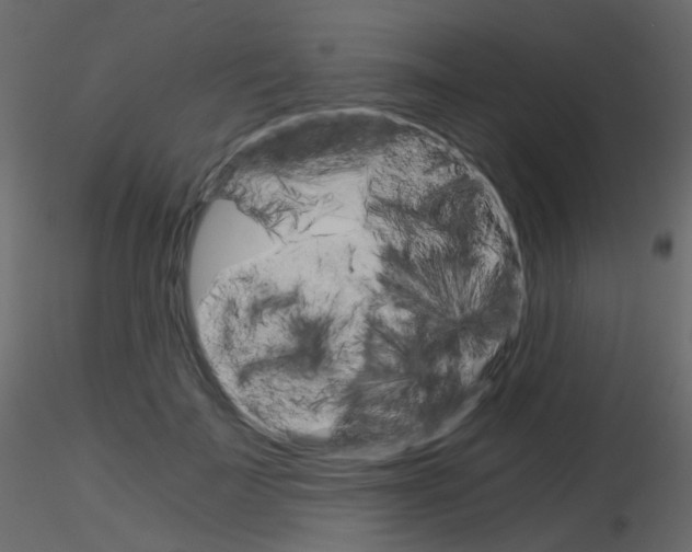 X0000115700699200912241523