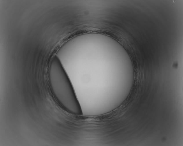 X0000115700700200912241523