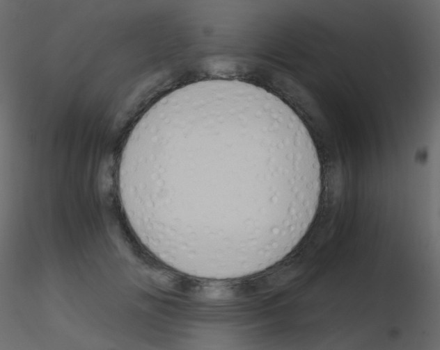 X0000115700702200912241523