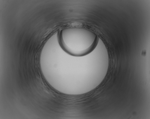 X0000115700704200912241523