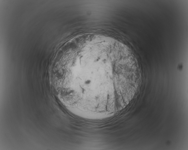 X0000115700707200912241523