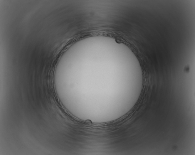 X0000115700708200912241523