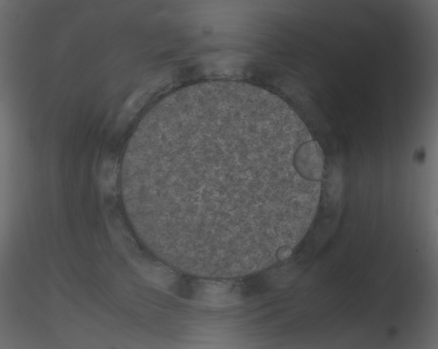 X0000115700709200912241523