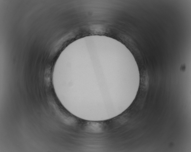 X0000115700710200912241523