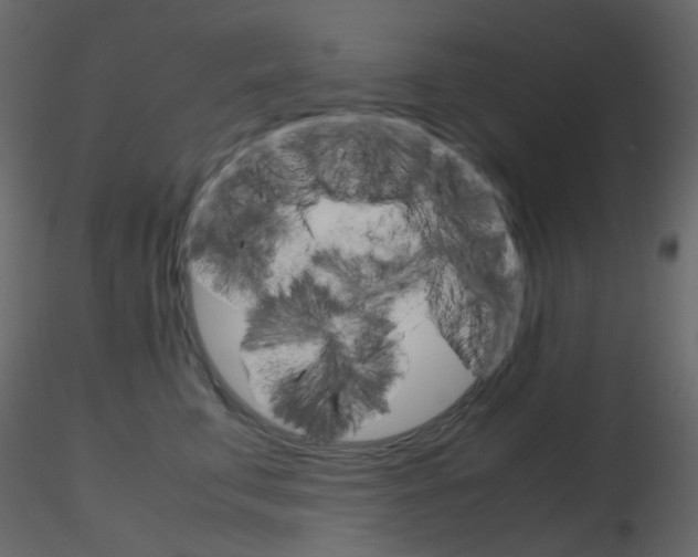 X0000115700711200912241523