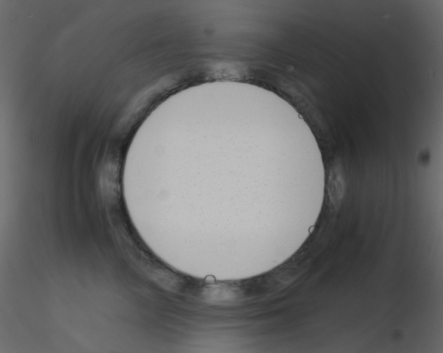 X0000115700714200912241523