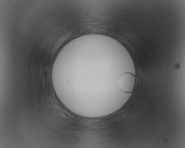 X0000115700716200912241523