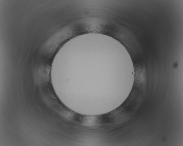 X0000115700717200912241522