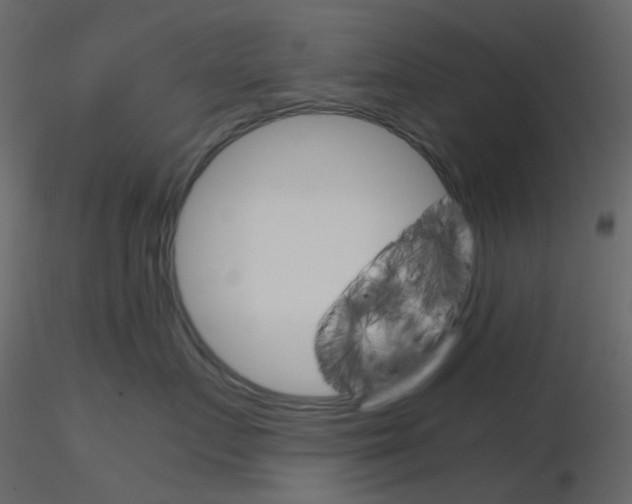 X0000115700719200912241522