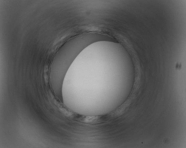 X0000115700720200912241522