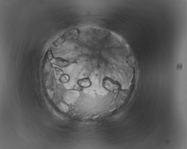 X0000115700721200912241522