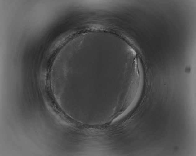 X0000115700722200912241522