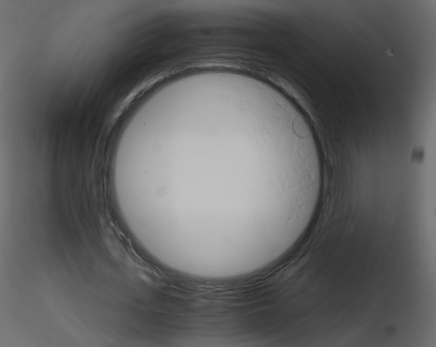 X0000115700723200912241522