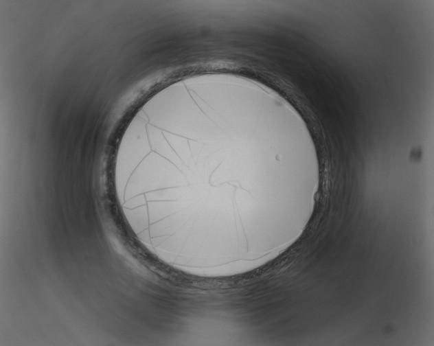 X0000115700726200912241522