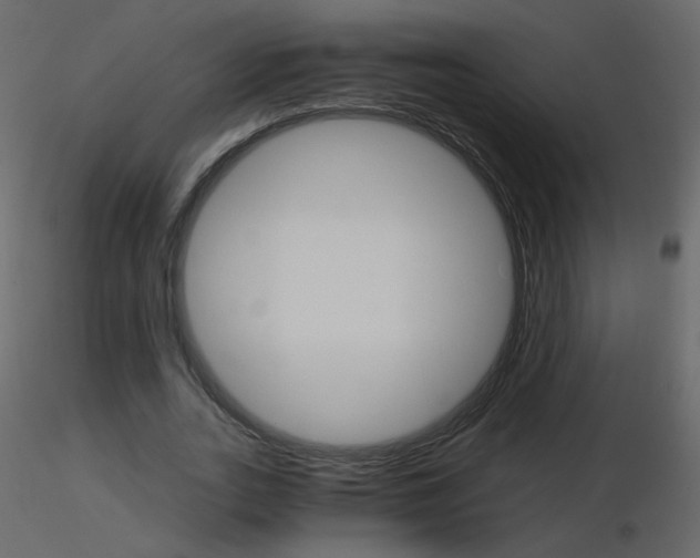 X0000115700727200912241522