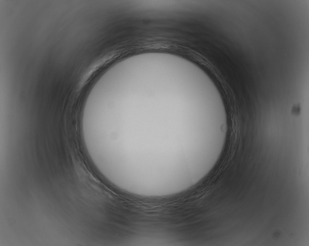 X0000115700731200912241522