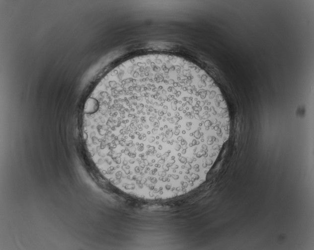 X0000115700734200912241522